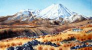 Mt Ngauruhoe Rocks by Sue Graham